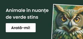 category_banner_big_mobile