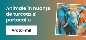 category_banner_big_mobile