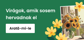 category_banner_big_mobile