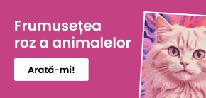 category_banner_big_mobile