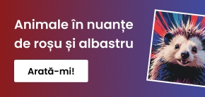 category_banner_big_mobile