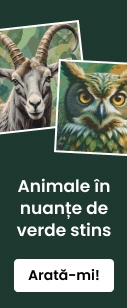 category_banner_small_mobile