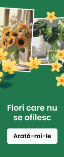 category_banner_small_mobile