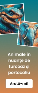 category_banner_small_mobile