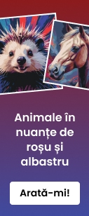 category_banner_small_mobile