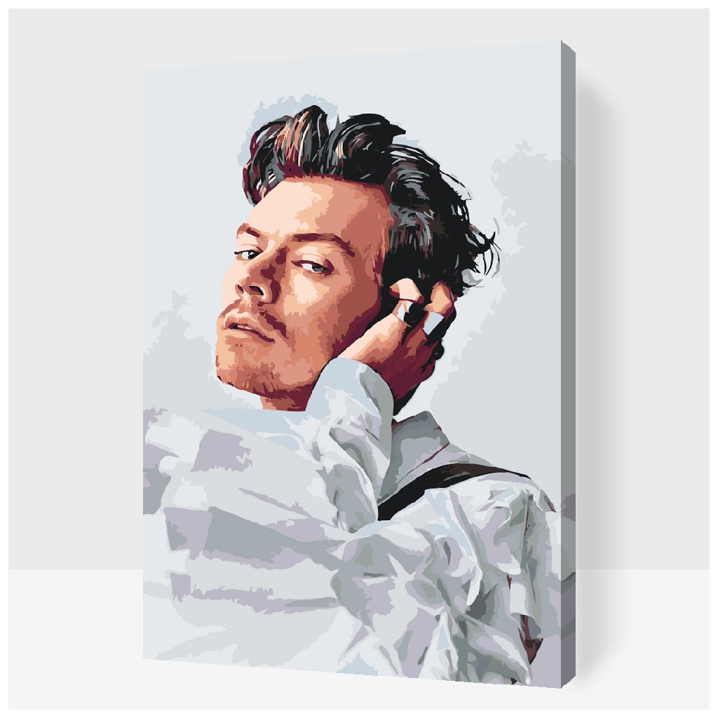 Pictură pe numere - Harry Styles 6