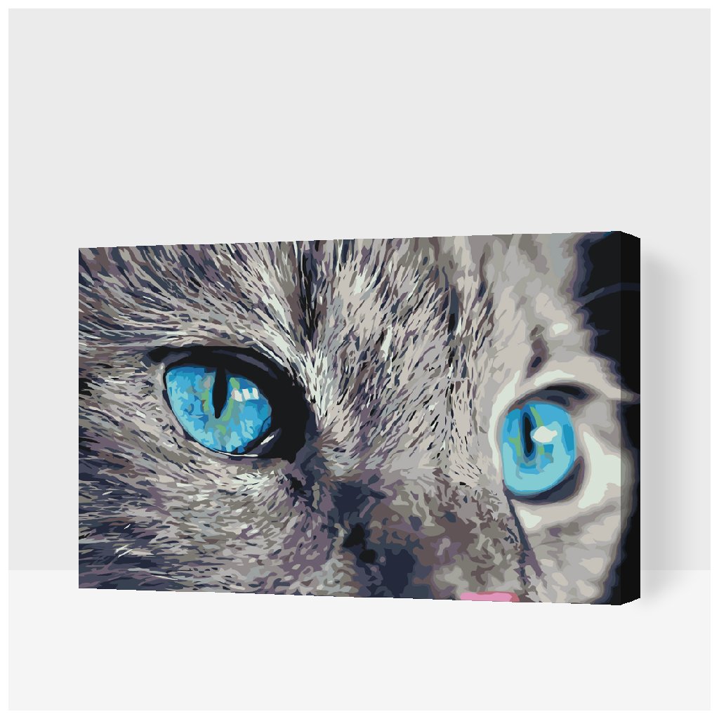 Pictură pe numere - Pisică cu ochi albaștri