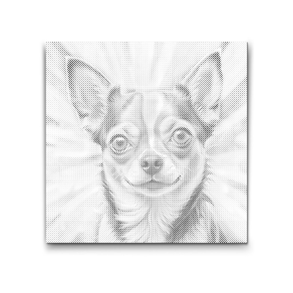 M2_Pictură_cu_puncte_-_Chihuahua_în_nuanțe_de_roșu_și_albastru