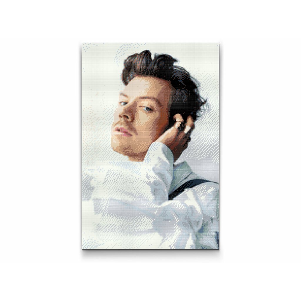 Goblen cu diamante - Harry Styles 6