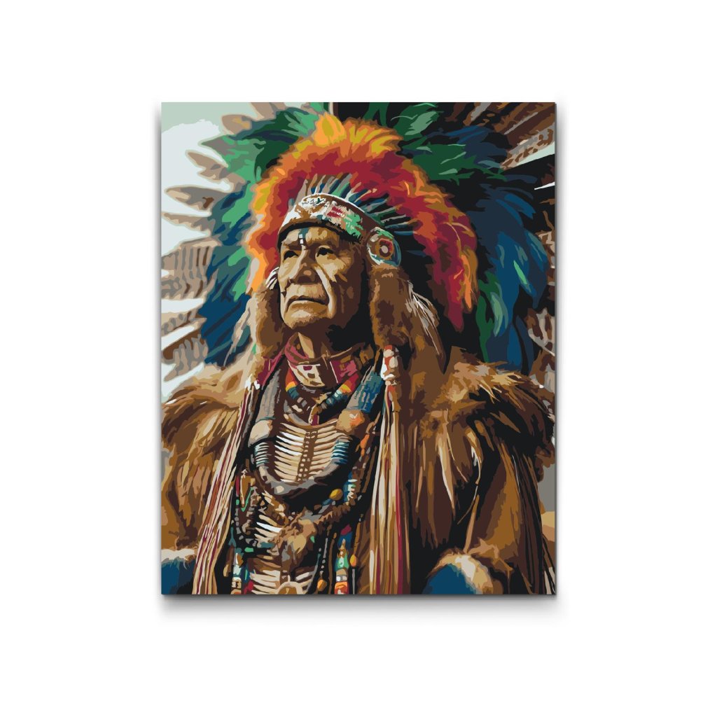 M2_Picturi_pe_numere_-_Indian_bătrân