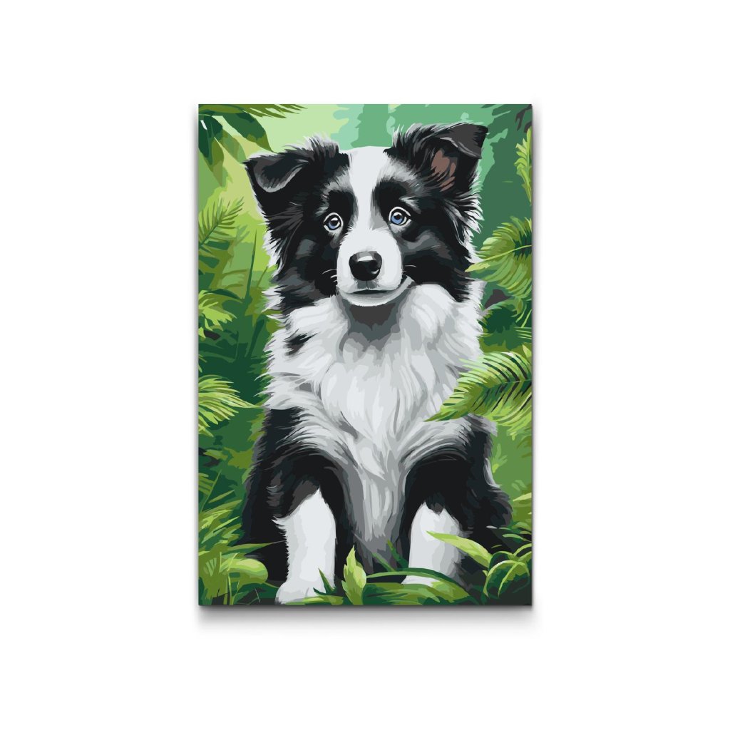 M2_Picturi_pe_numere_-_Pui_de_Border_Collie
