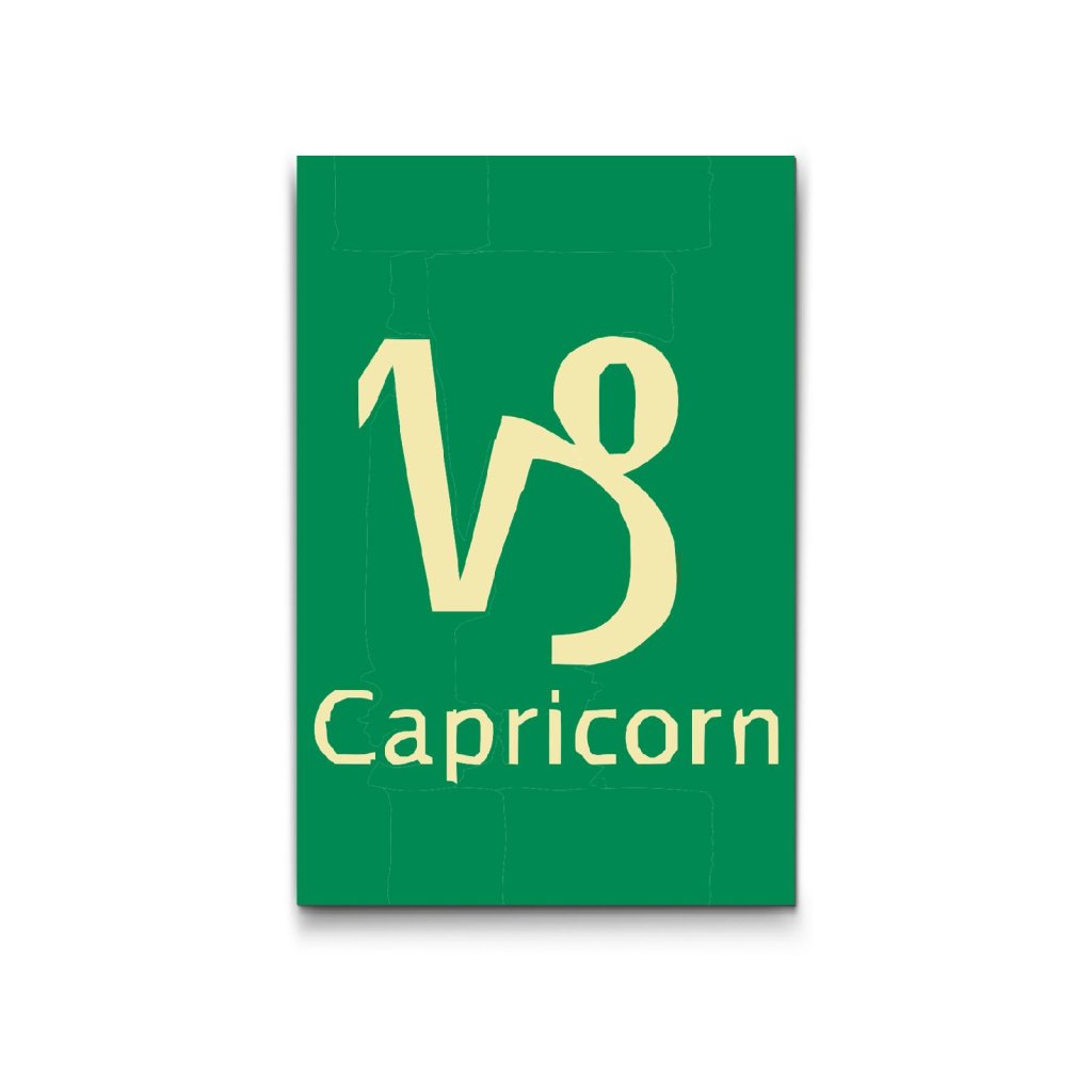 M2_Picturi_pe_numere_-_Semn_zodiacal_–_Capricorn
