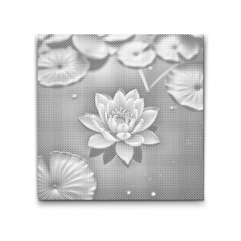M2_Pictură_cu_puncte_-_Floare_de_lotus_roz
