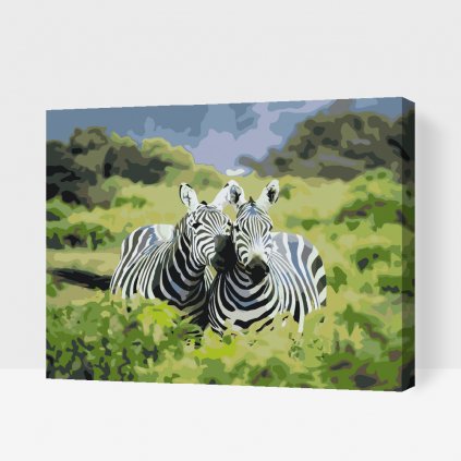 Pictură pe numere - Safari cu zebre