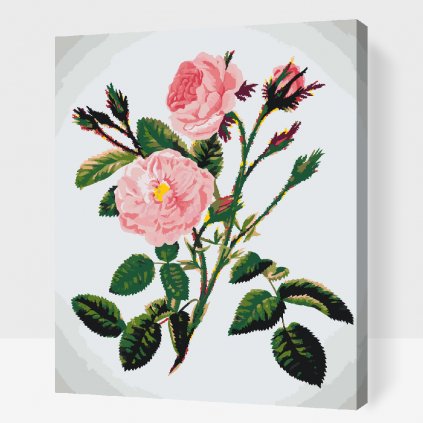 Pictură pe numere - Trandafiri sălbatici roz