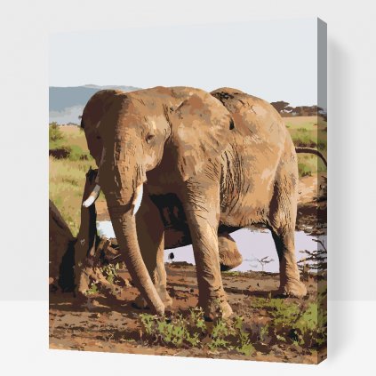 Picturi pe numere - Safari cu elefant