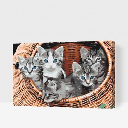 Picturi pe numere - Pisicuțe într-un coș