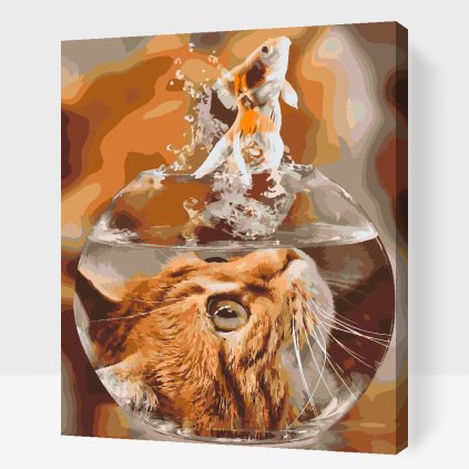 Picturi pe numere - Pește auriu prin ochii unei pisici