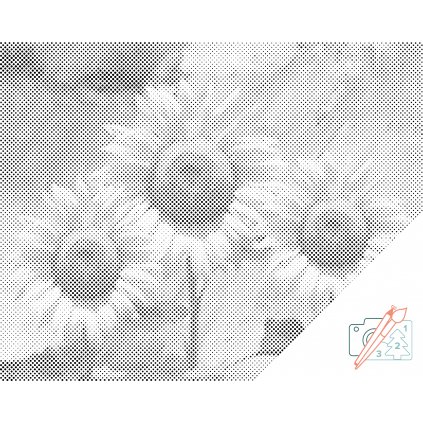 Pictură cu puncte - Floarea soarelui în studio
