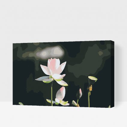 Pictură pe numere - Floare de lotus