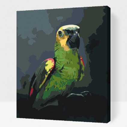 Pictură pe numere - Papagal amazonian
