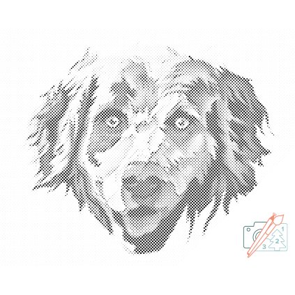 Pictură cu puncte - Retriever