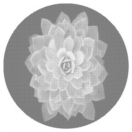 Pictură cu puncte - Mandala cu floarea uitării