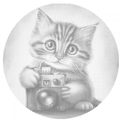 Pictură cu puncte - Pisicuță și cameră foto