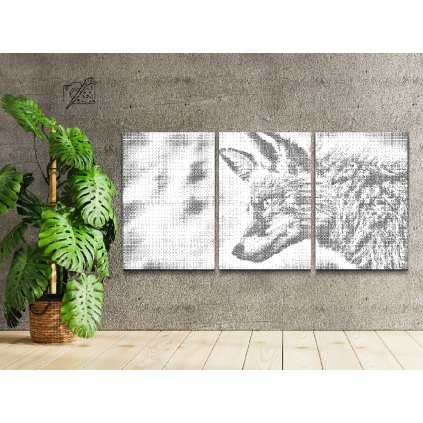 Pictură cu puncte - Vulpe sălbatică (set de 3)