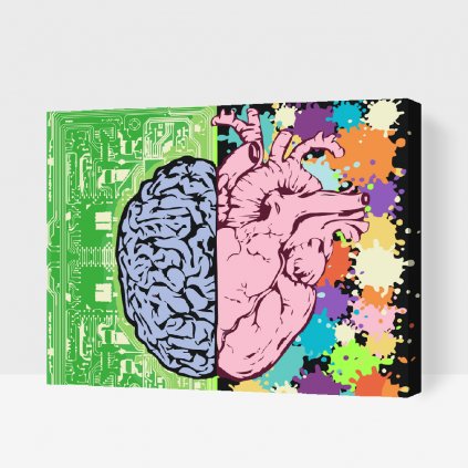 Pictură pe numere - Creier sau inimă?