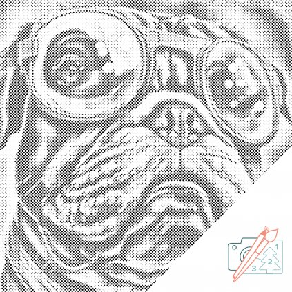 Pictură cu puncte - Câine cu ochelari 3