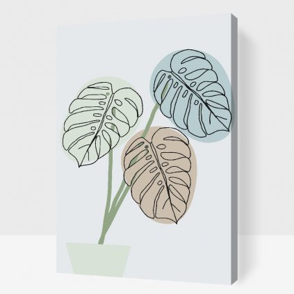 Pictură pe numere - Monstera boho 2