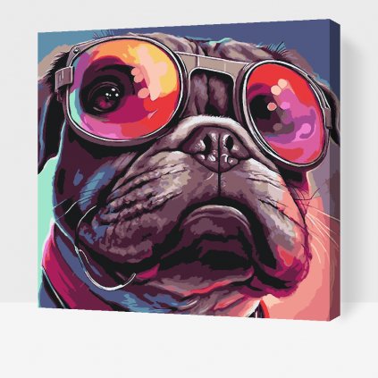 Pictură pe numere - Câine cu ochelari 3