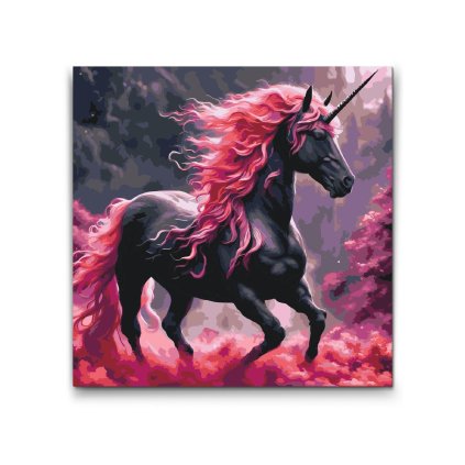 M2_Picturi_pe_numere_-_Unicorn_negru_și_roz
