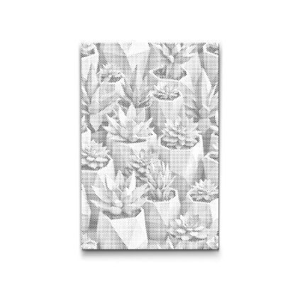 M2_Pictură_cu_puncte_-_Suculente_origami