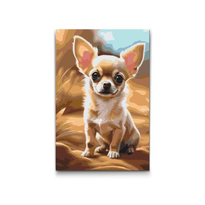 M2_Picturi_pe_numere_-_Chihuahua