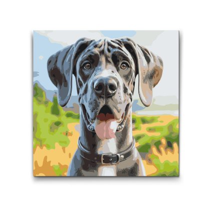 M2_Picturi_pe_numere_-_Dogă