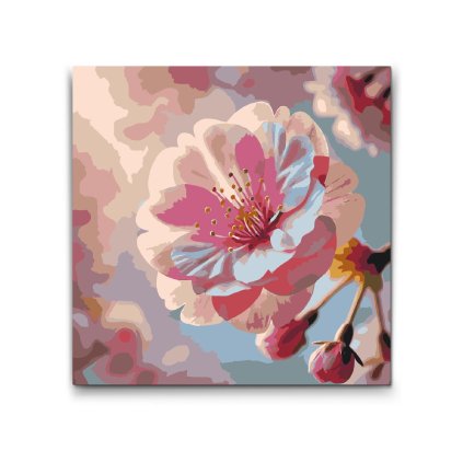 M2_Picturi_pe_numere_-_Floare_de_sakura