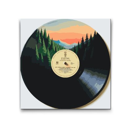M2_Picturi_pe_numere_-_Vinil_1