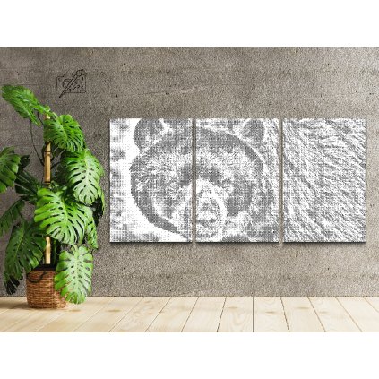 Pictură cu puncte - Urs (set de 3)