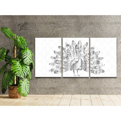 Pictură cu puncte - Păun mândru (set de 3)