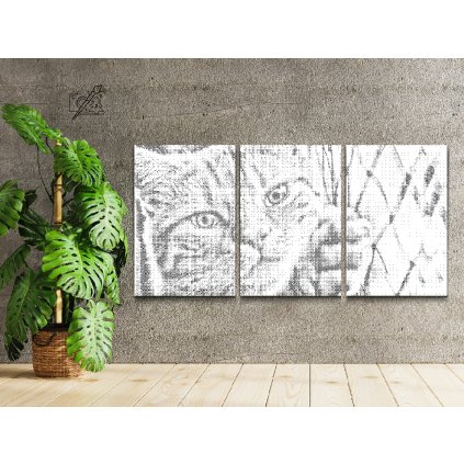 Pictură cu puncte - Pisică pe gard (set de 3)