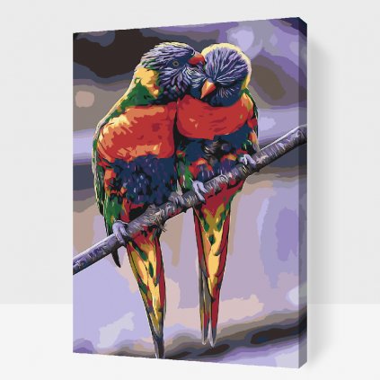 Picturi pe numere - Papagali curcubeu 2