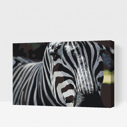 Pictură pe numere - Focus pe zebră