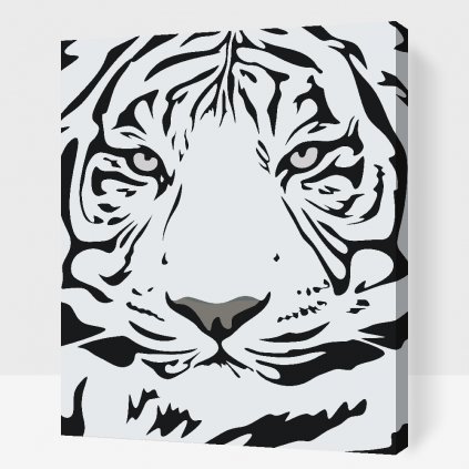 Pictură pe numere - Cap de tigru alb-negru