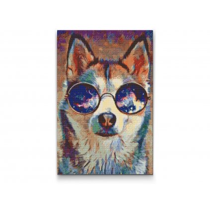 Goblen cu diamante - Cățel husky cu ochelari