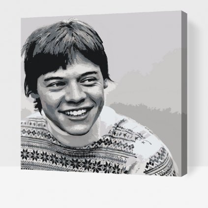 Pictură pe numere - Harry Styles 17