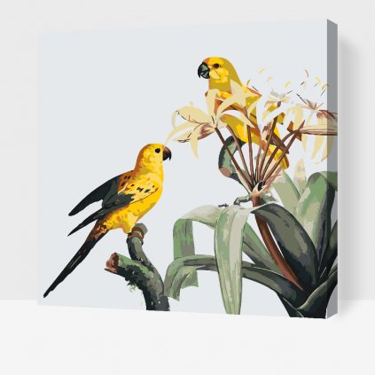 Picturi pe numere - Papagal pe floare