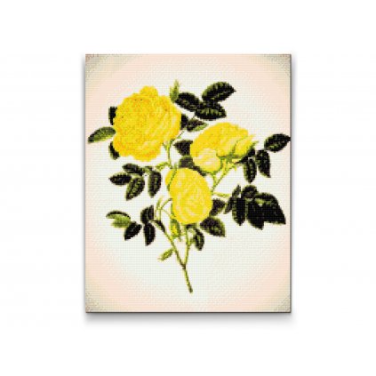 Goblen cu diamante - Trandafiri sălbatici galbeni