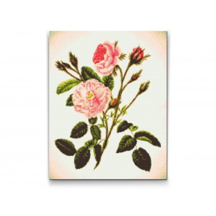 Goblen cu diamante - Trandafiri sălbatici roz